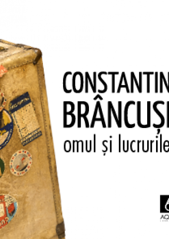 Constantin Brancusi - Expozitie omul si lucrurile