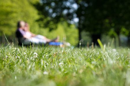parc bucuresti evenimente activitati