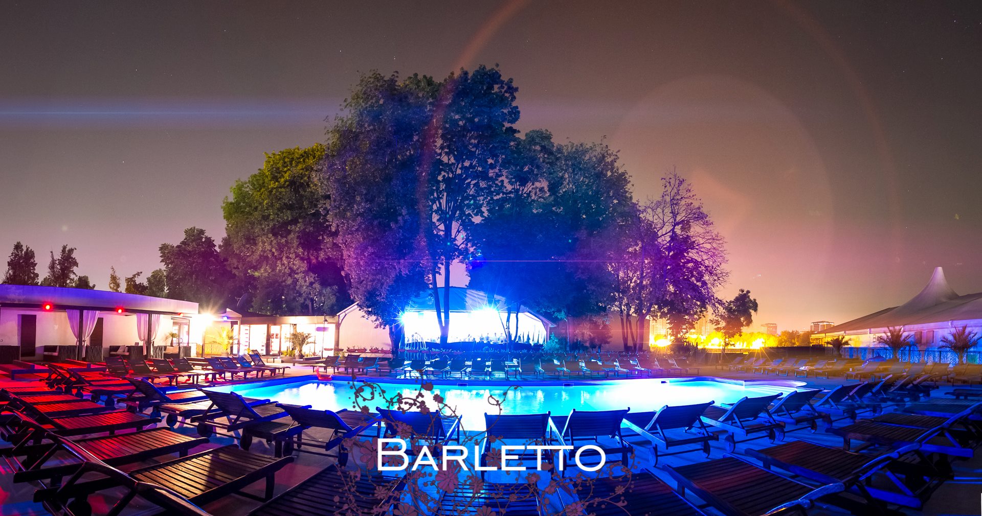 teddy bear barletto