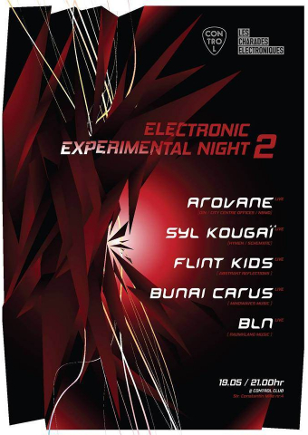 Electronic Experimental Night 2