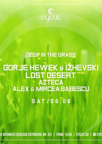 Deep In Grass - Gorje Hewek & Izhevski, Lost Desert, Azteca, Alex & Mircea Babescu