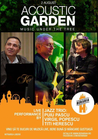Jazz Trio - Puiu Pascu, Virgil Popescu, Titi Herescu