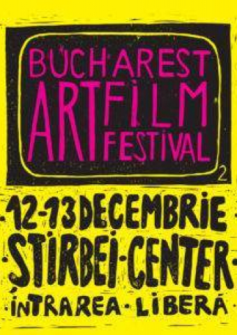 Bucharest Art Film Festival, editia a 2-a / filme de(spre) arta