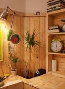 Concerte, evenimente Cluj-Napoca:   Toalete cu personalitate in oras: romantice, urbane sau mecanice