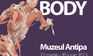 The Human Body