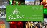 FanFest 2013