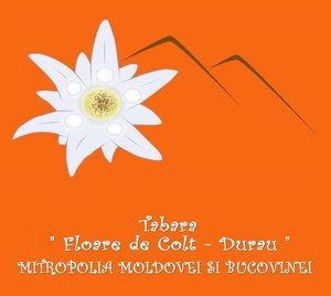 Tabara de vara Floare de Colt 2013, Durau, Durau 