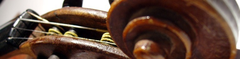 Piata Mica Sibiu, Altele Sibiu