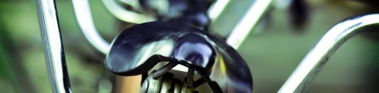 Baza Sportiva Textila, Altele Timisoara