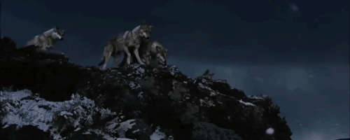 wolf totem movie 2016