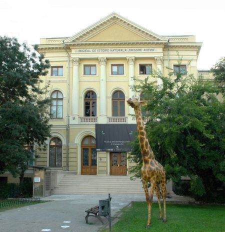 girafa antipa deinotherium diorama deschisa in aer liber