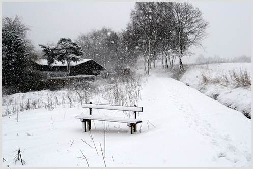 Winter Romania Snow